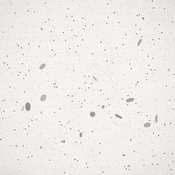 paper.cosmos